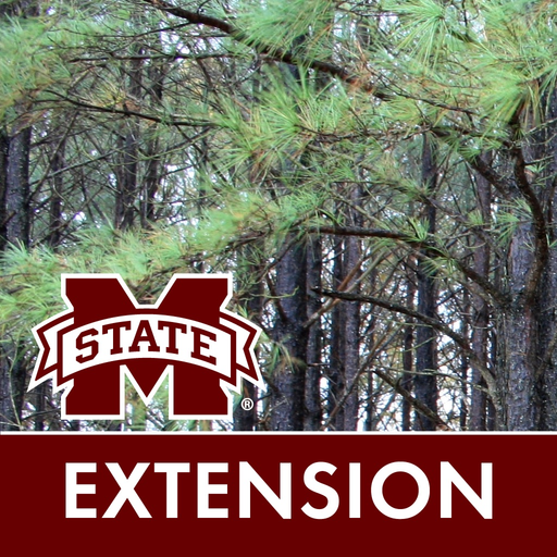 MSUES Southern Pine Thinning app icon