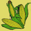 Tortilleria Nixtamal icon
