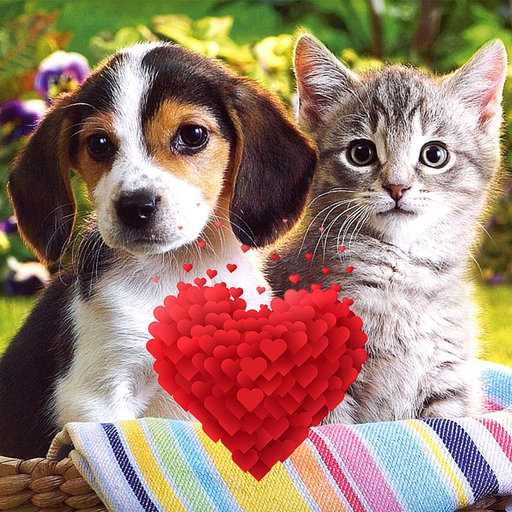 Lovely Animals app icon
