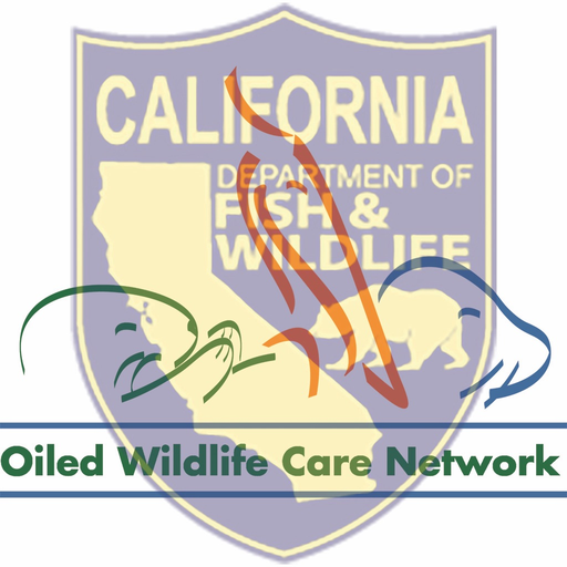 Wildlife Recovery app icon