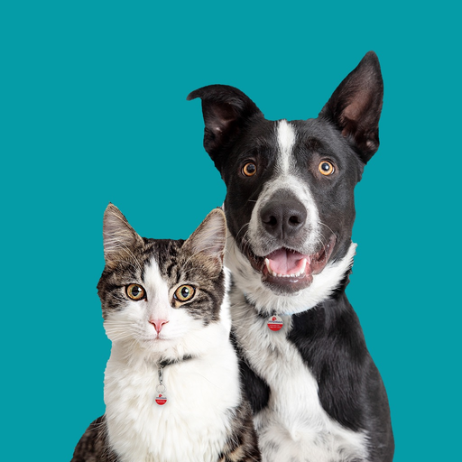 Maddie's Pet Assistant app icon