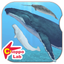 Whales & Dolphins of the World -Simple Pictorial Book Kids Game - icon