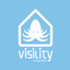 Visility Mobile icon