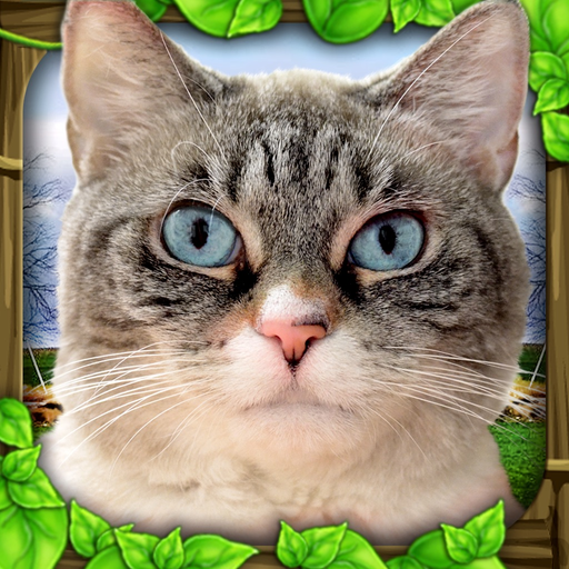 Stray Cat Simulator app icon