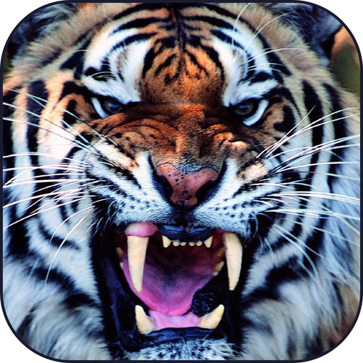 Power and Endurance Training app icon