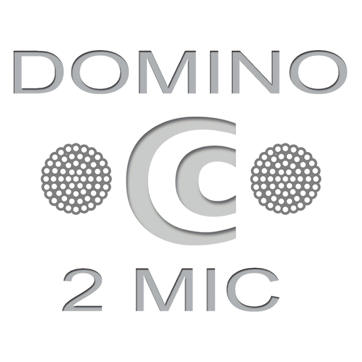 DOMINO 2MIC SETTING app icon