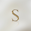 Solutionist - AramHuvis icon