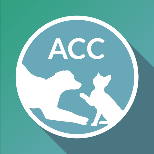 ACC of NYC app icon