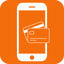 EVERPay mPOS icon