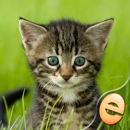 Jigsaw Wonder Kittens Puzzles for Kids Free app icon