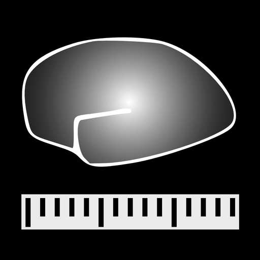 CABPad Neuropsychological Test app icon