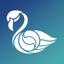 DermaDuell icon