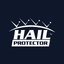 Hail Protector icon