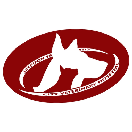 City Vet Hospital app icon