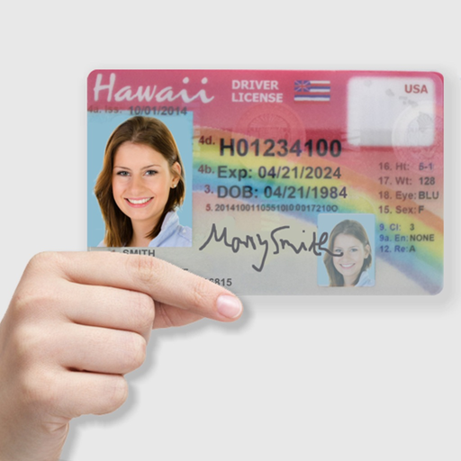 Hawaii Driver License app icon