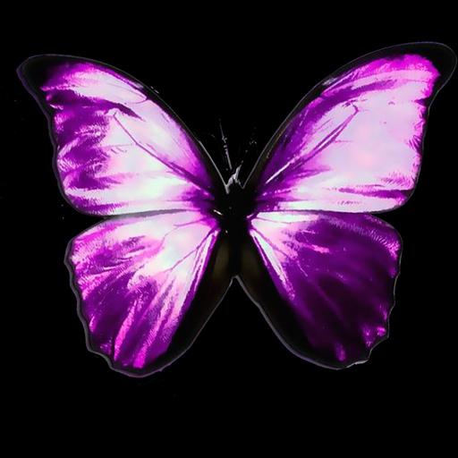 Wallpapers HD 50000+(Daily Updated) app icon