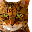 Polygon Art - 3D Image Editor icon