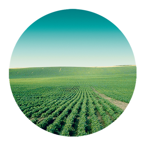 EDDMapS IPM app icon