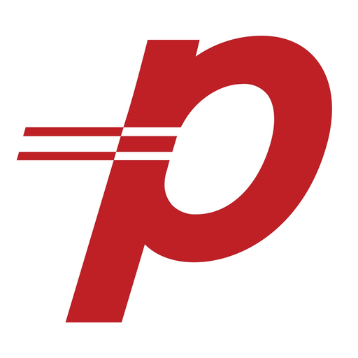 Payzer app icon