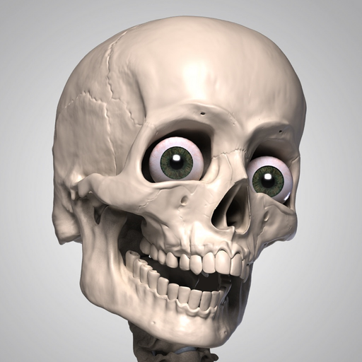 Skelly - Art Model app icon