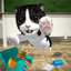 Cat Simulator 2 icon