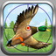 Duck Hunting Island Elite Challenge 2015 - 2016 icon