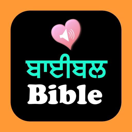 Punjabi English Audio Bible app icon