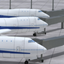 Airport Madness 3 icon