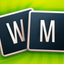 Word Master - Classic icon