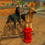 Doggy Dog World icon