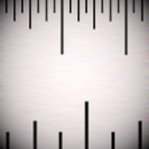 Epic Ruler app icon