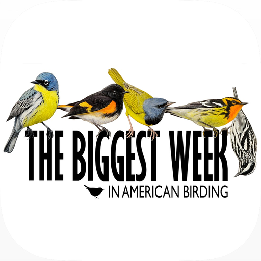 BirdsEye Biggest Week in American Birding Festival App app icon