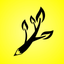 Wordraw - Word Generator icon