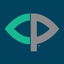 Vision Pursue icon