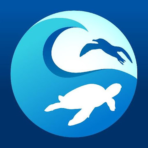 Clean Swell app icon