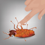 Cockroaches | صراصير icon