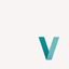 ViewCamStation icon