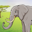 Wild animals in the forest, the jungle and the savannah icon
