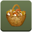 Mi Cesta de Setas icon