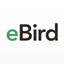 eBird icon