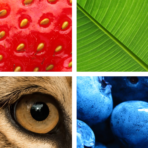 Quiz Pic: Close Ups app icon