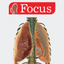 LUNGS - Digital Anatomy icon
