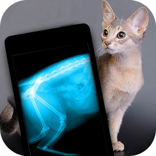 Simulator X-Ray Photo Cat app icon