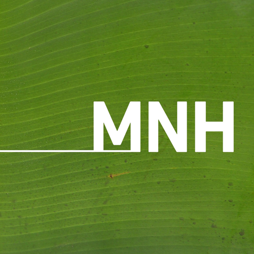 Museo de la Naturaleza y el Hombre app icon