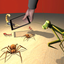 Pantomime Bug Farm icon