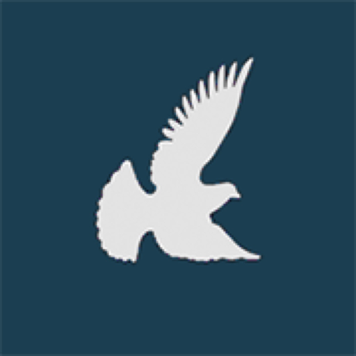 NarrowPath app icon