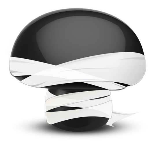 Data Recovery for BB app icon