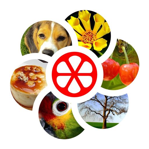Word Rings Puzzle app icon
