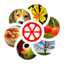 Word Rings Puzzle icon