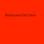 WebSocket Client icon